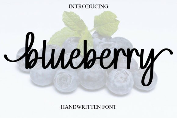 Blueberry: A Handwritten Font That Feels Like a Hug